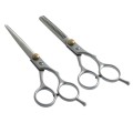 Hairdresser and Thinner Scissor - Professional set 